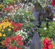 Flower bed at city park background , Berlin